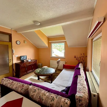Sedrenik Holiday home